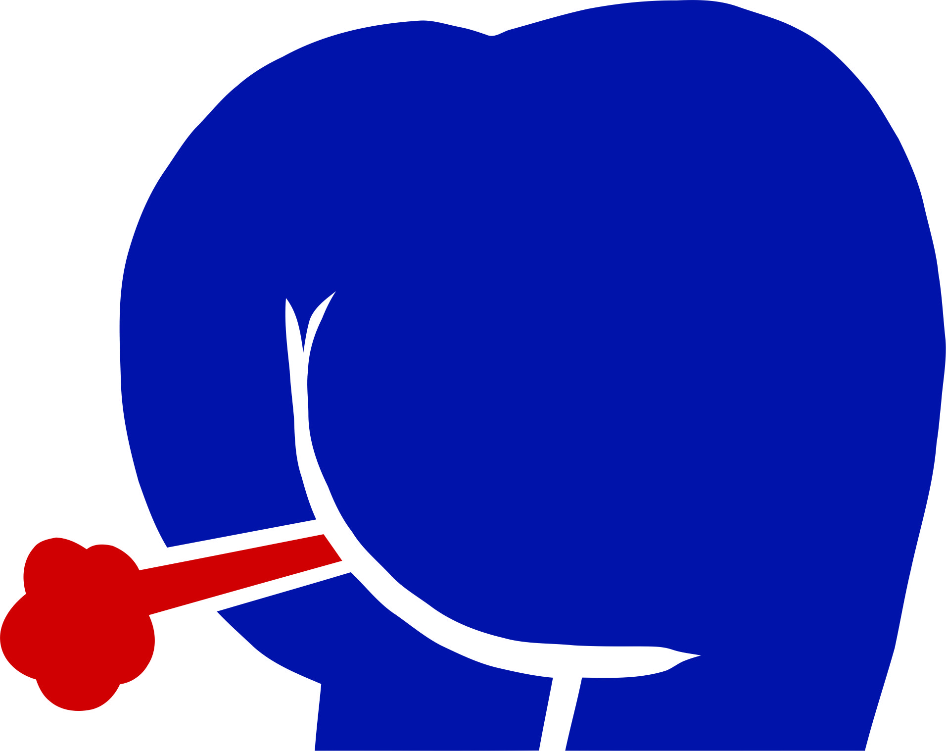 Buffalo Bills Butts Logo DIY iron on transfer (heat transfer)
